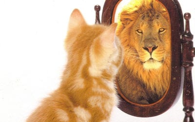 B2B Bosses Need to Look in the Mirror